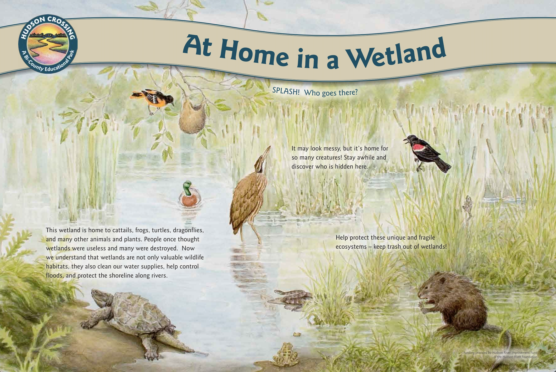 At Home in a Wetland — Hudson Crossing Park
